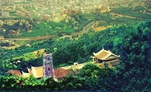 莆田系是什么意思呀,请慎用的意思