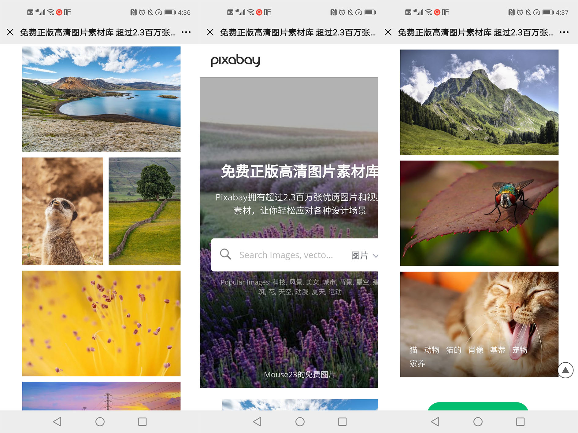 怎么把二维码链接转为二维码,如何将网页链接生成二维码