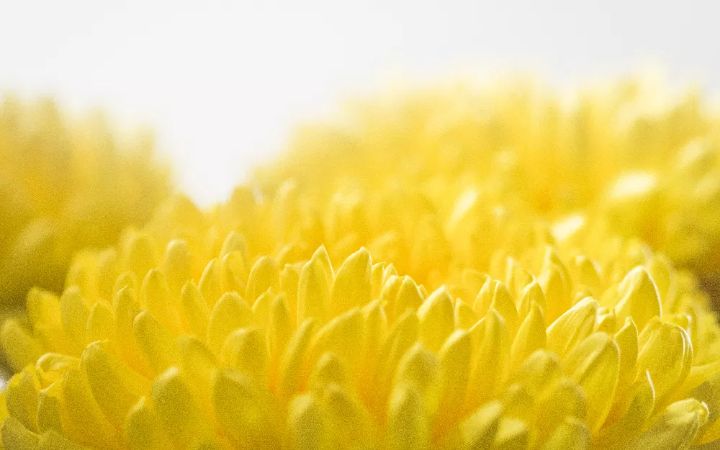 精神科医生分享日常,精神科医生成长之路