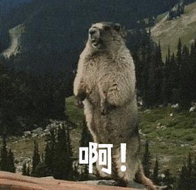 为了睡个好觉也是费尽心思,为了睡好觉都做了哪些努力的视频