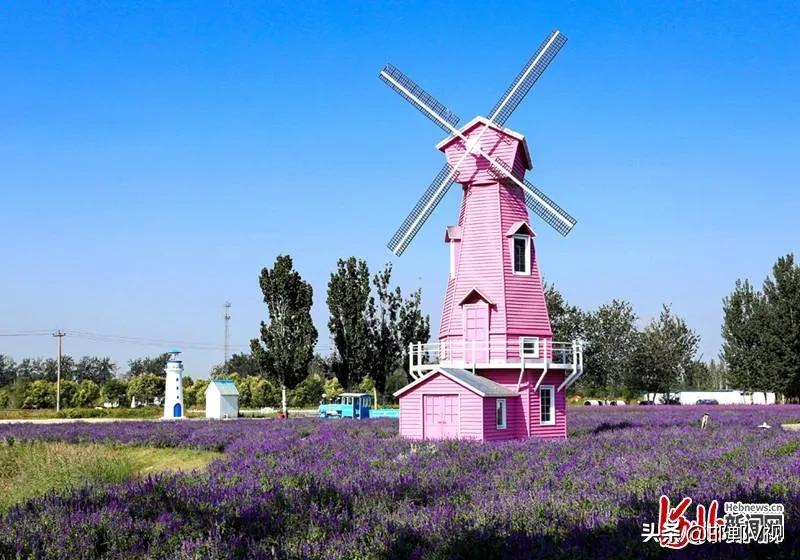 邯郸自驾游看花十大排行榜,石家庄48条春观花旅游线路