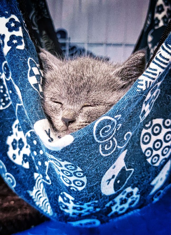 索尼a6000可以录像吗,索尼6000有自动跟焦吗