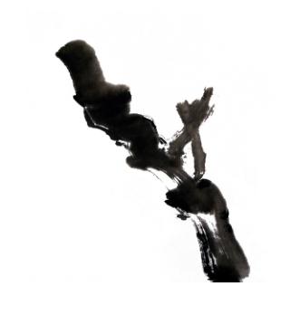 姊呰姳鍥界敾鐢绘硶鐩存挱,姊呰姳鍥界敾鍎跨鍏ラ棬