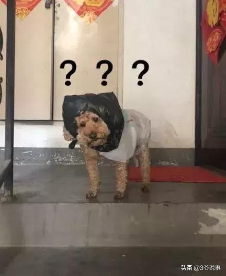 千万不要相信女孩子po出的身材自拍.过于真实哈哈哈