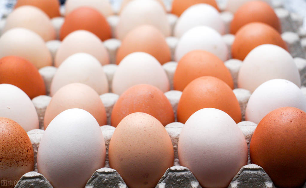辨别鸡蛋优劣的选购技巧,红壳鸡蛋和白壳鸡有啥区别