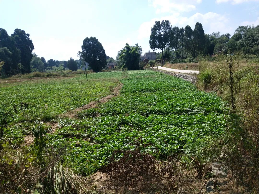 全州标志性建筑,牌坊全国重点文物保护单位