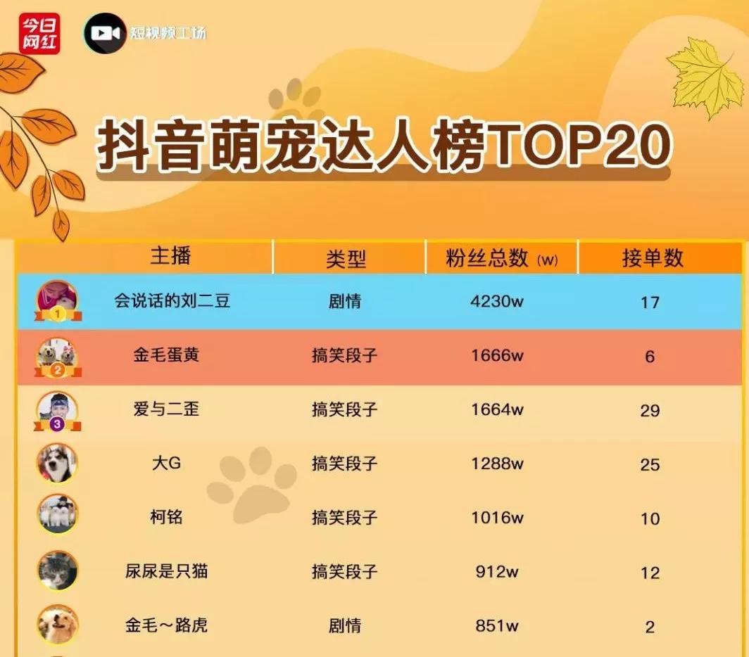 霸道总裁遇到小猫,霸道猫总裁遇到猫薄荷