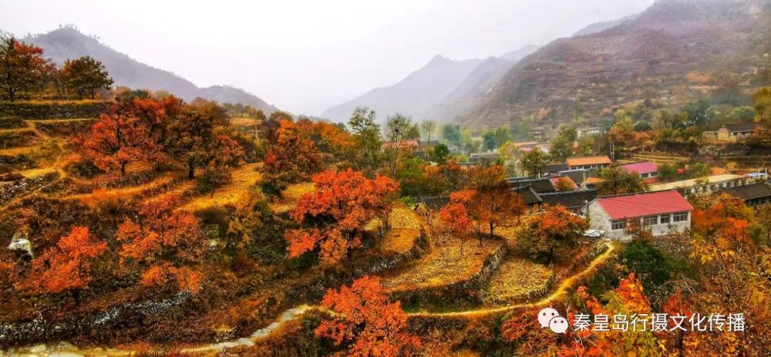 秦皇岛秋天美景,秦皇岛秋天落日和晚风