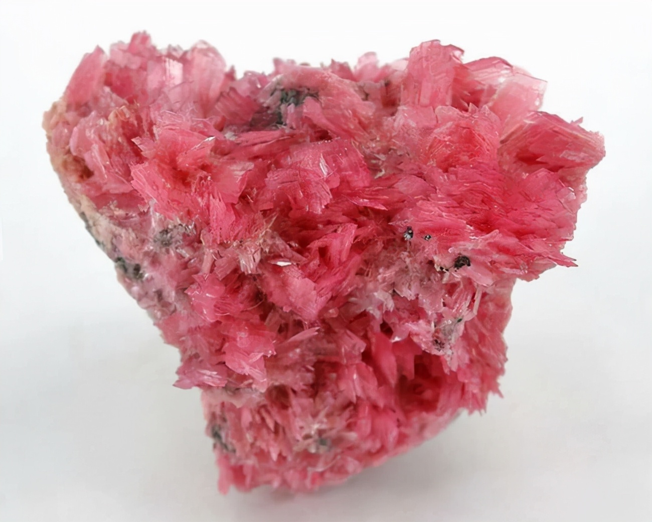 像午餐肉的宝石你没见过,却被梵克雅宝选中,粉嘟嘟的样子真讨喜