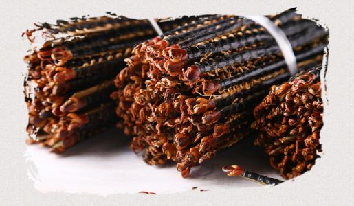 中药蜈蚣的功效和主治是什么,蜈蚣可以息风镇痉吗