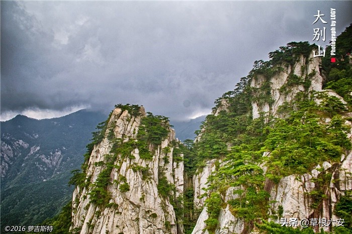 不输黄山迎客松的迎客松,不输黄山的景点