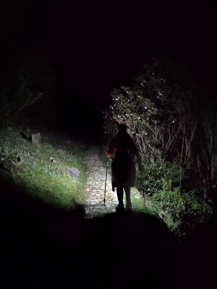 2020年江南100英里越野赛,江南100越野赛选手名单