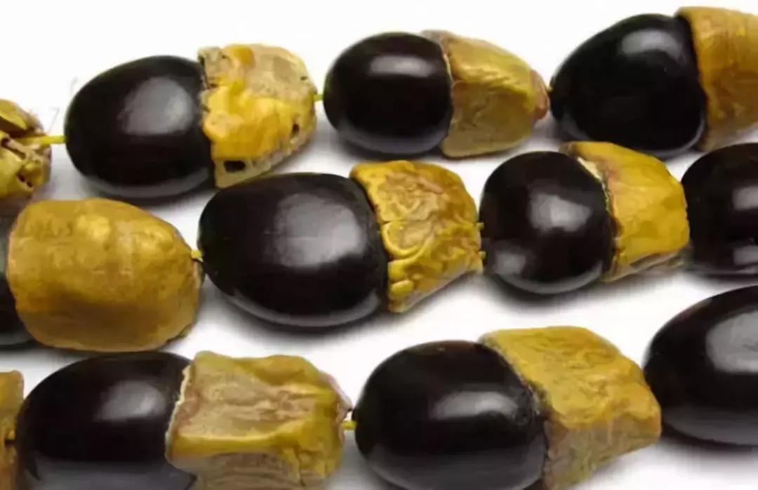 最全的菩提子图解太美了,最好的菩提子