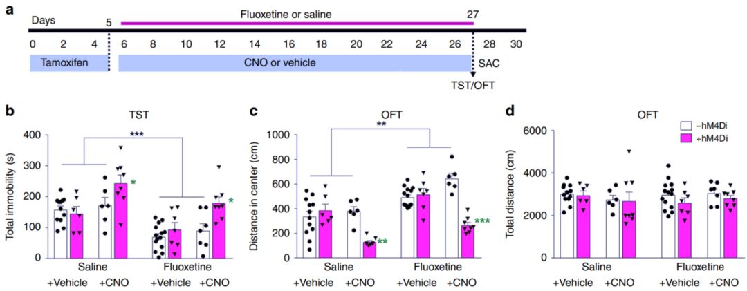抑郁症认知症状评估与干预,抑郁症研究大数据分析