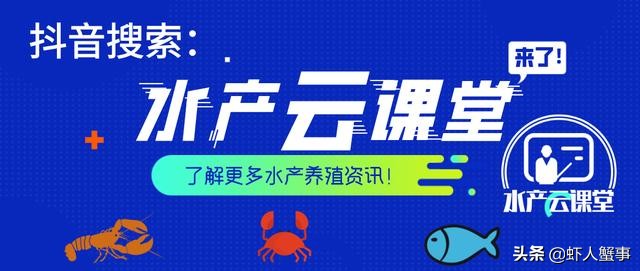 养殖小龙虾的市场前景如何,未来两年养殖小龙虾的前景怎么样