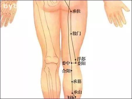 膝关节疼痛艾灸哪些穴位最好,膝关节内侧疼痛拔火罐穴位