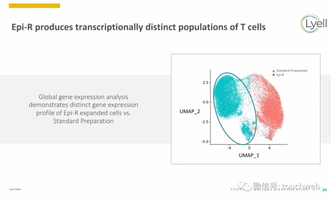 肿瘤免疫治疗公司Lyell冲刺美股：年亏2亿美元路演PPT曝光