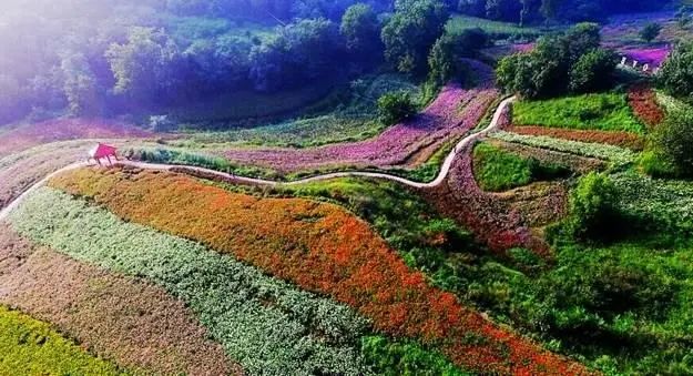 被称为上帝的指纹的图形,上帝的指纹景区