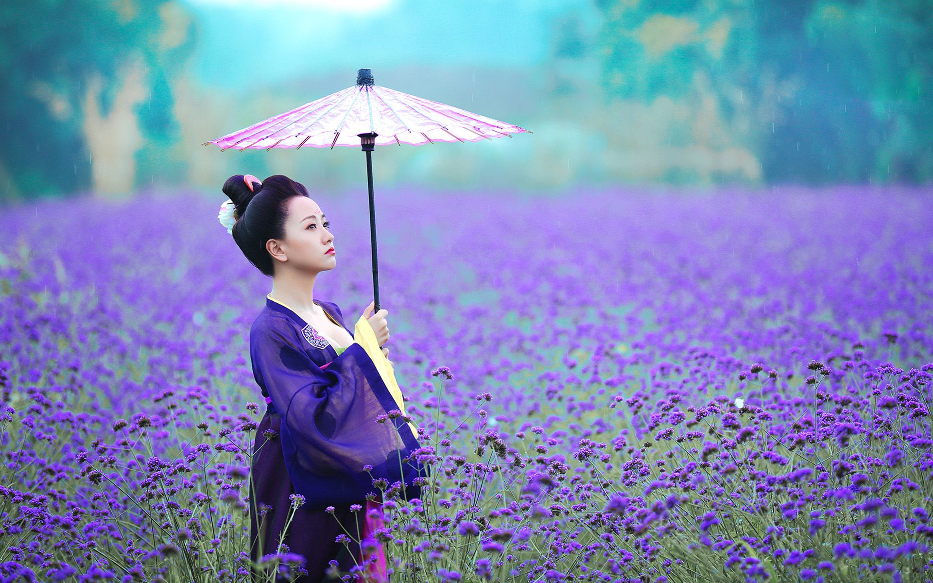 撒贝宁说杨蓉王鸥吴映洁,王鸥吴映洁杨蓉混剪