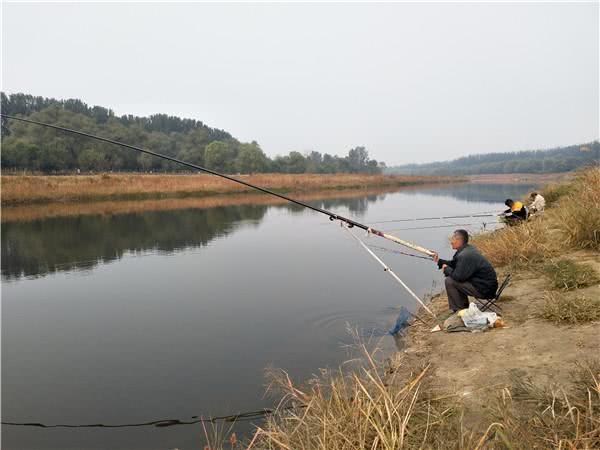 武汉炮竿钓鱼视频教程,武汉长炮竿钓鱼