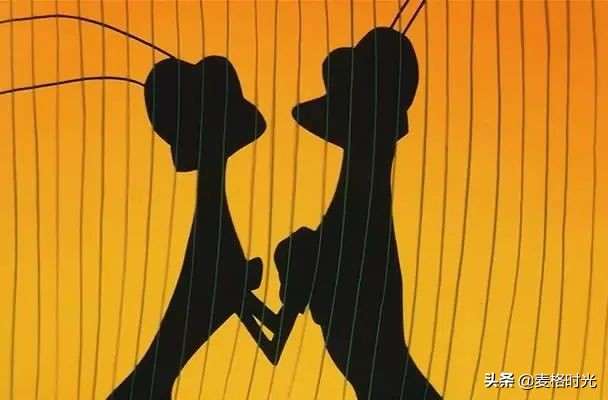 戴铁郎黑猫导演,黑猫导演戴铁郎