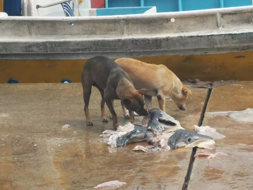 说走就走的旅行拒绝私聊,说走就走旅行没有尔虞我诈