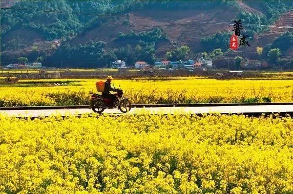 春节你的爱车可以停到这些地方,要过年了你的爱车保养了吗