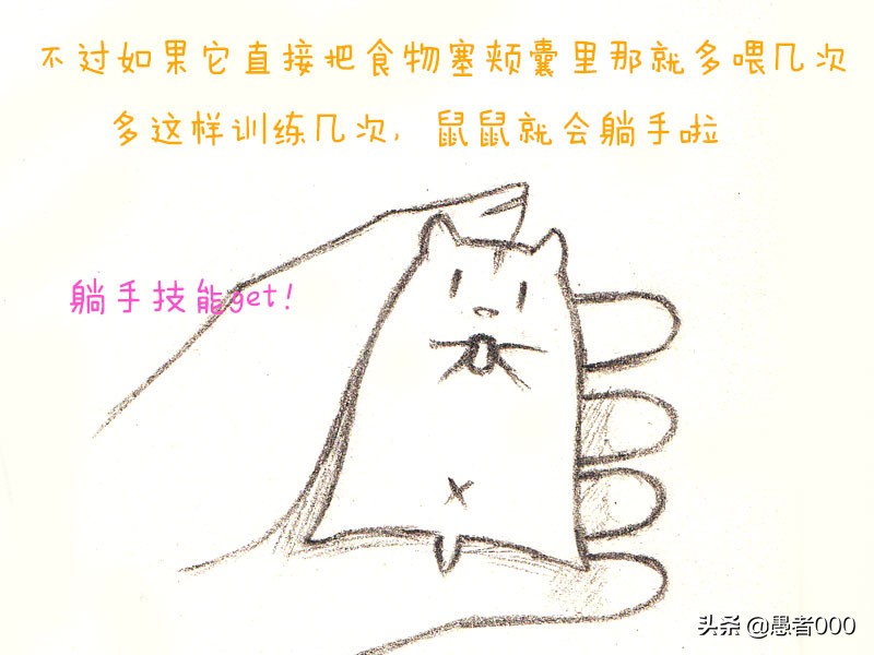 可爱的仓鼠漫画简单,画可爱的仓鼠漫画