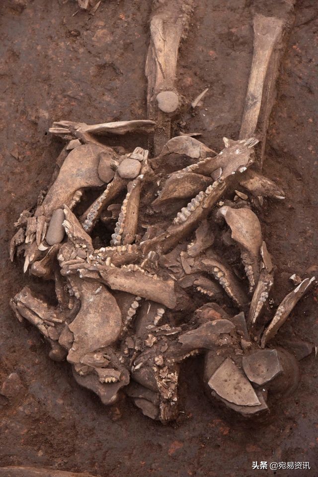 南阳黄山遗址规划图,南阳黄山遗址博物馆规划方案