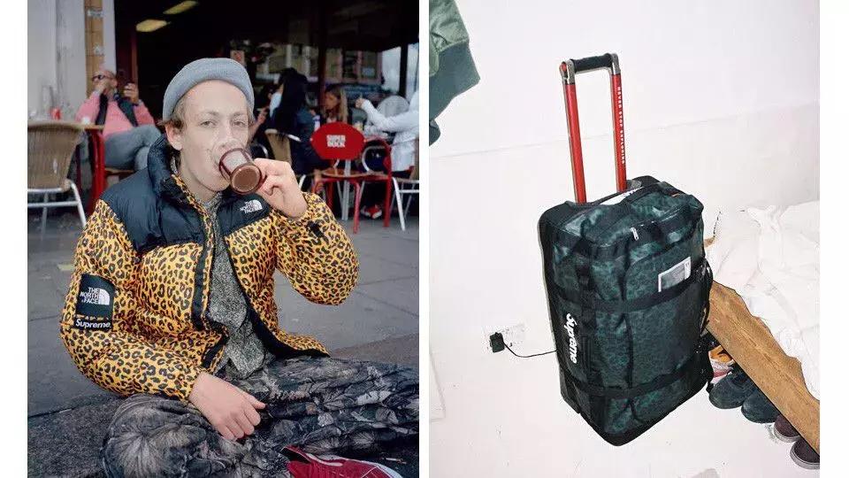 thenorthface白标和红标哪个好,thenorthface紫标是什么