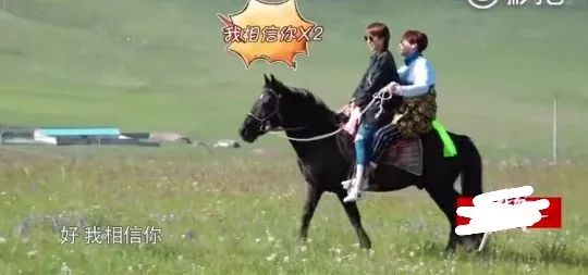 扒叔刘涛,扒叔爆料是真是假