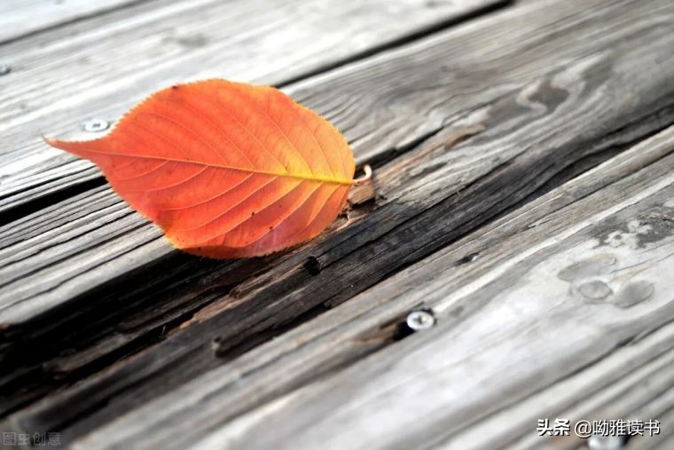 荣格心理学12种潜意识性格分析,荣格精神分析