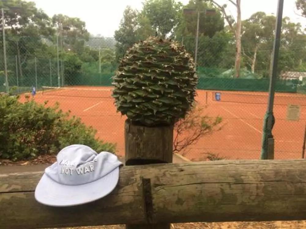 花生腰果哪个好,腰果巴旦木坚果