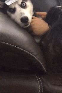 空中一字马搞笑图,一个突如其来的一字马