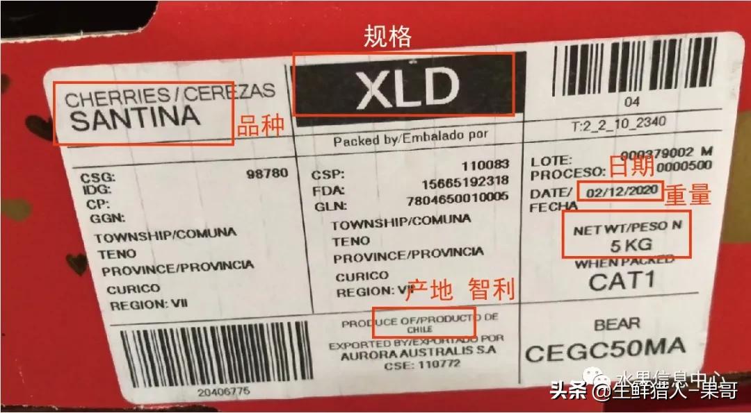 车厘子包装等级划分,车厘子标签各种日期形式