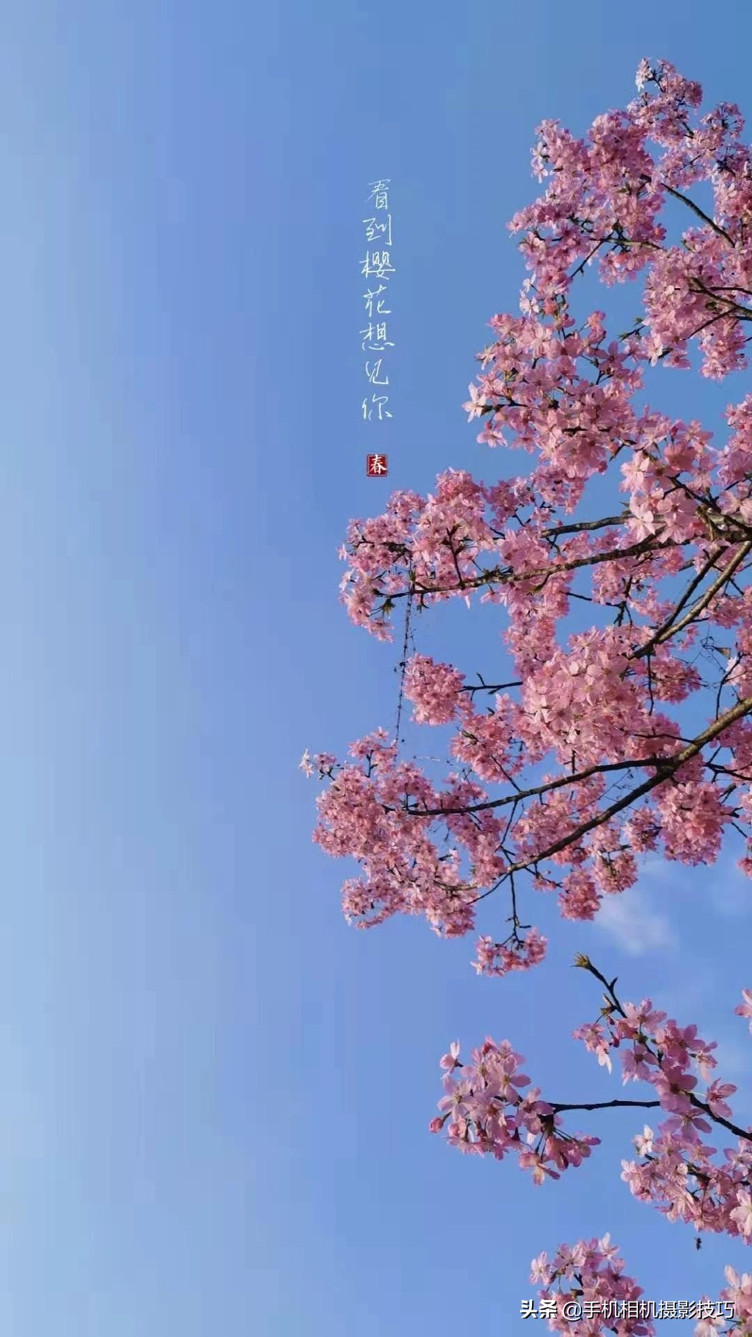 帮助大家拍出满意的照片春节,20张同一个人的照片男生