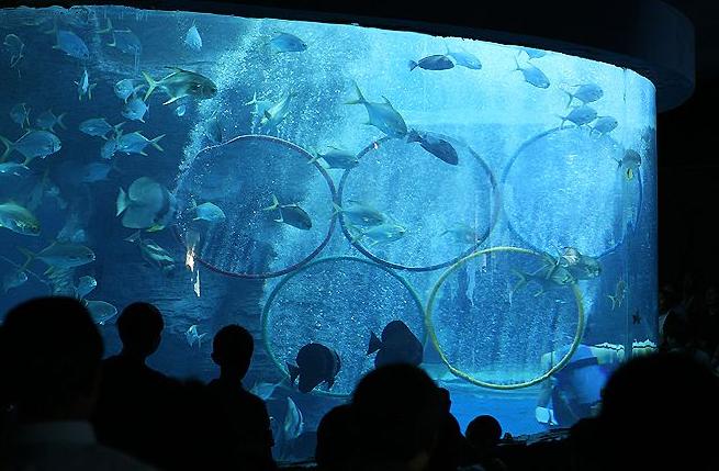 深圳附近海岛旅行攻略推荐,深圳国庆海岛推荐