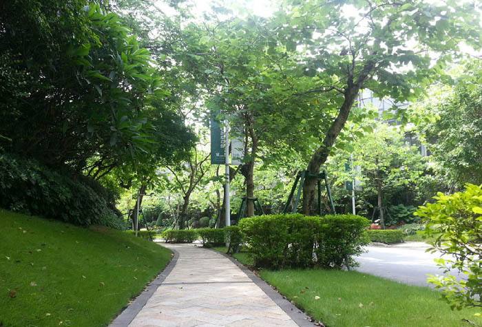 北美国际中心,北美国际商务中心105平