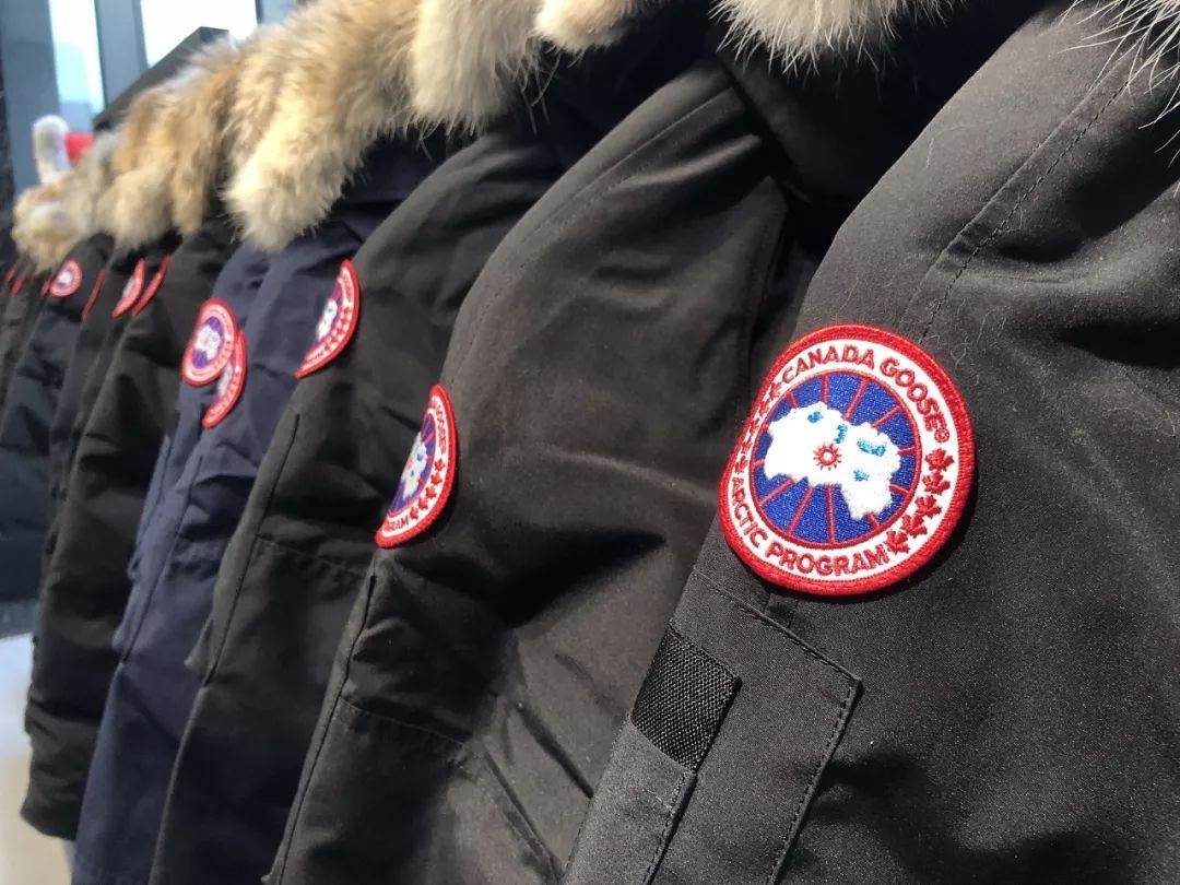 加拿大鹅第二季度财报股价大跌,加拿大鹅股票价格暴跌原因