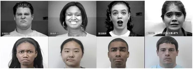 超两万字的最全人脸数据集介绍汇总，从人脸检测到人脸风格化