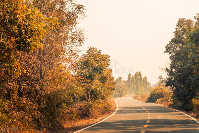 旅游公路景观设计原则,公路景观绿化设计