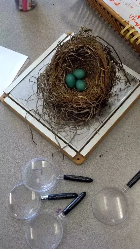 幼儿园用干树枝做成的手工,树枝创意100种手工画幼儿园