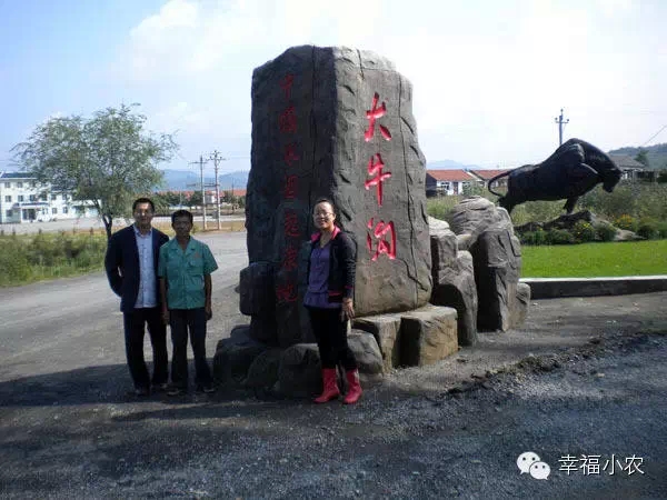 在北方投资500亩冰葡萄，投入数百万，还要建酒庄，可以吗？