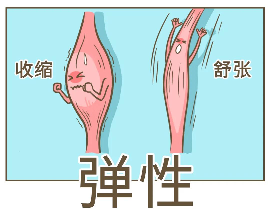 落枕脖子一边高一边低,脖子老落枕怎么回事