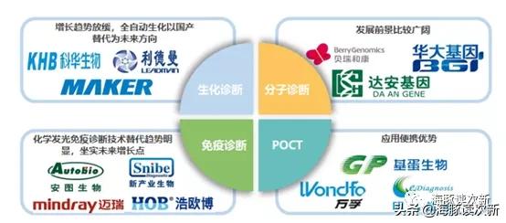 过敏检测+自免检测龙头！打破国际垄断，自免化学发光新品已放量