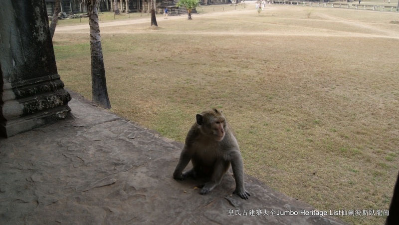 第157回:庙宇神殿湮没丛林,你中有我我中有你