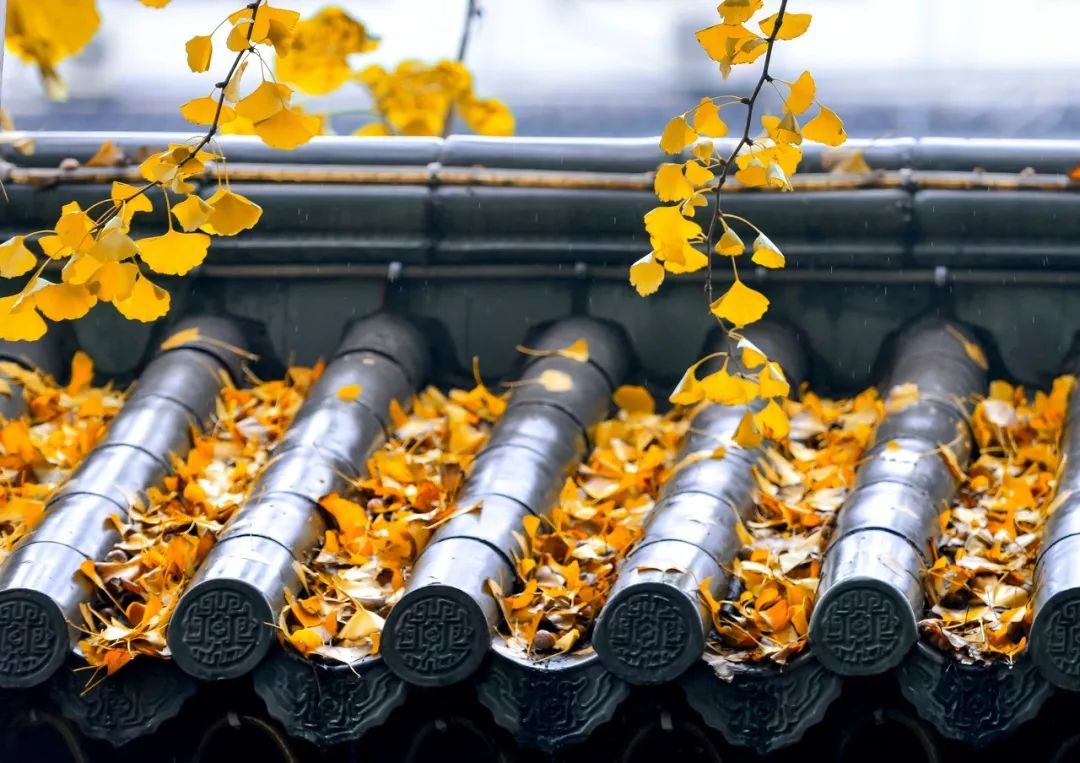 一入秋苏州成姑苏,秋色一入秋苏州就成了姑苏