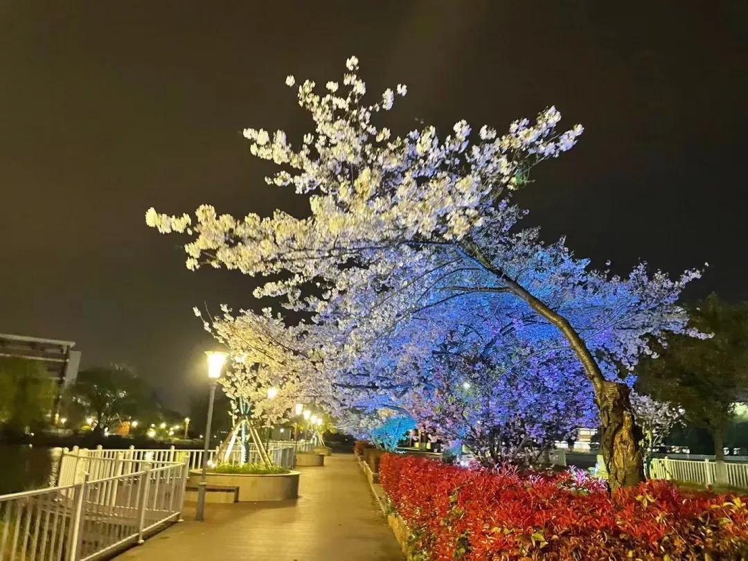 江苏省五星级高中（四）江苏省锡山高级中学