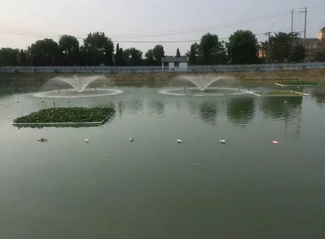 使用em菌发酵的肥料,使用em菌建立硝化系统