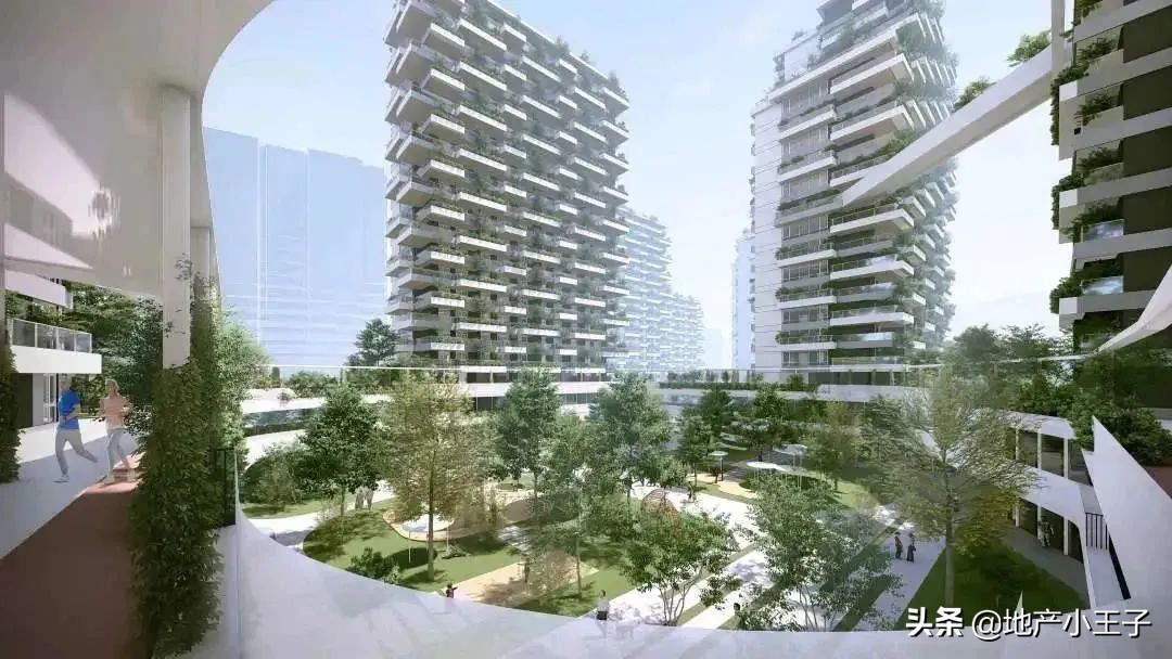 2019年摇红盘,摇不到的红盘